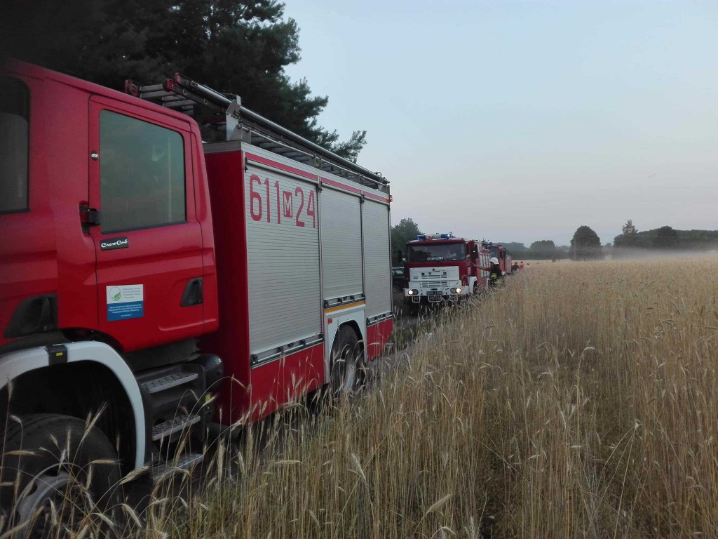 Rośnie zagrożenie pożarowe w lasach