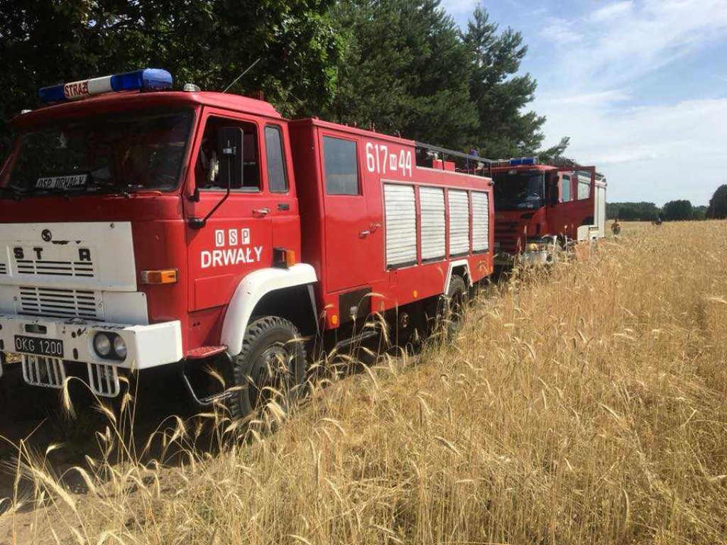 Rośnie zagrożenie pożarowe w lasach