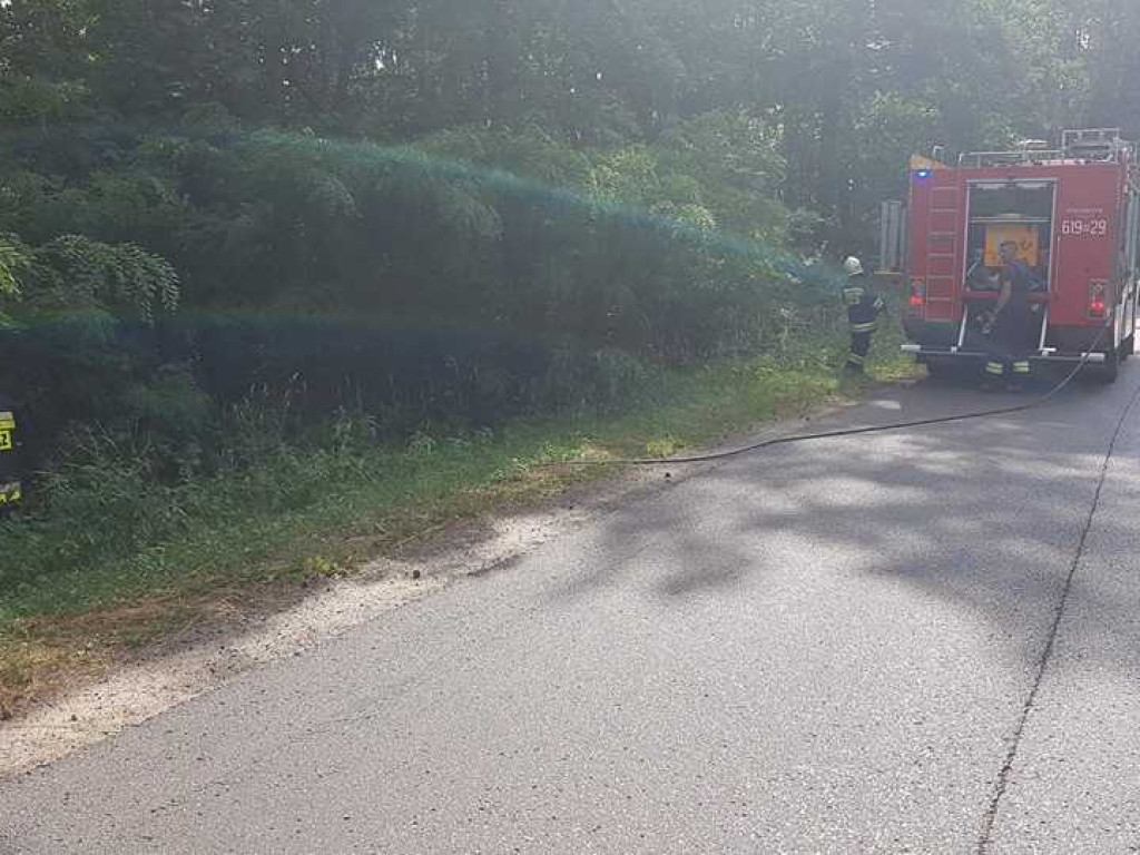 Rośnie zagrożenie pożarowe w lasach