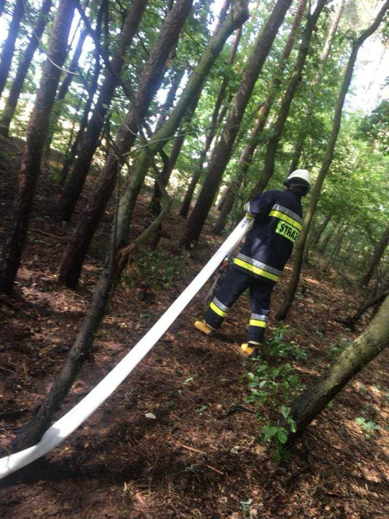 Rośnie zagrożenie pożarowe w lasach