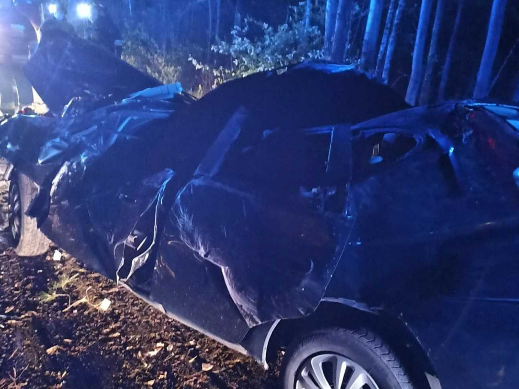 Pijana kierująca uderzyła w drzewo