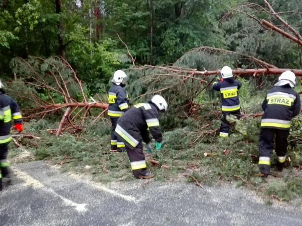 Poburzowe interwencje OSP