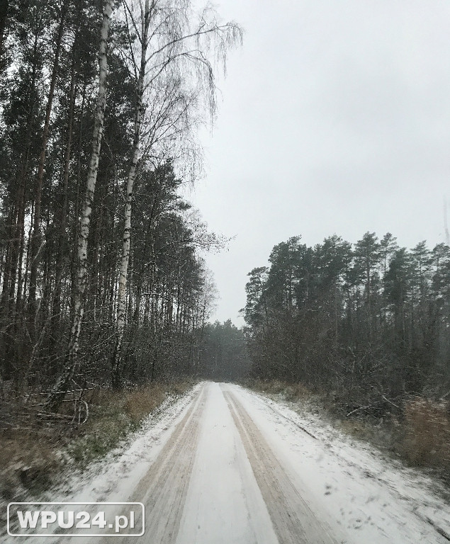 Zimowy Pułtusk i okolice