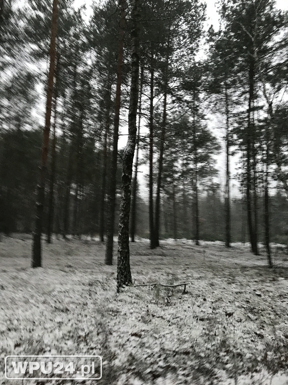 Zimowy Pułtusk i okolice