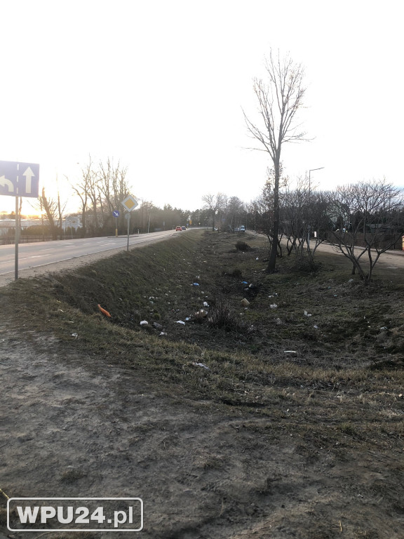 Bałagan po dniu targowym