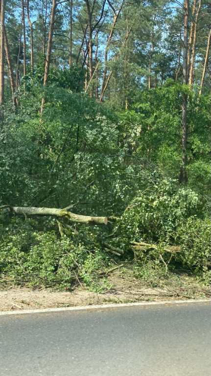 Wtorkowa burza nad powiatem pułtuskim