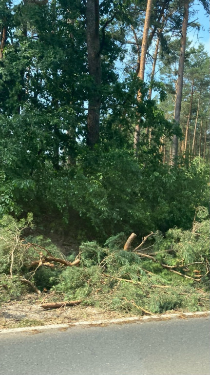 Wtorkowa burza nad powiatem pułtuskim