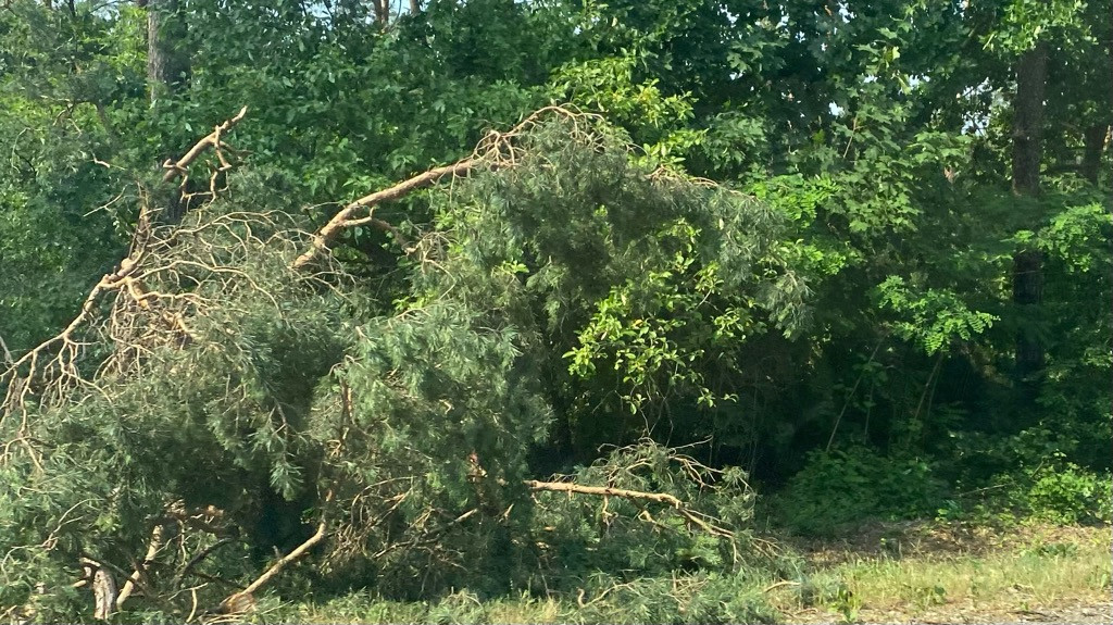 Wtorkowa burza nad powiatem pułtuskim