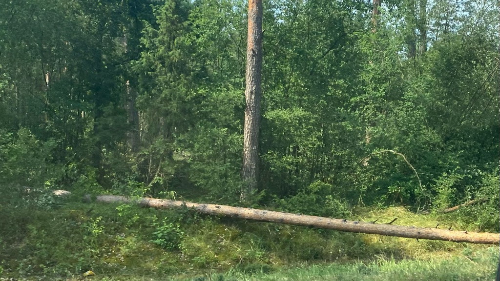 Wtorkowa burza nad powiatem pułtuskim