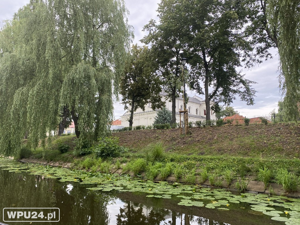 Pułtusk z wody widziany