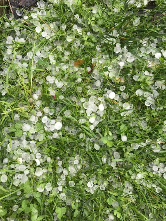 Lipcowa burza nad powiatem