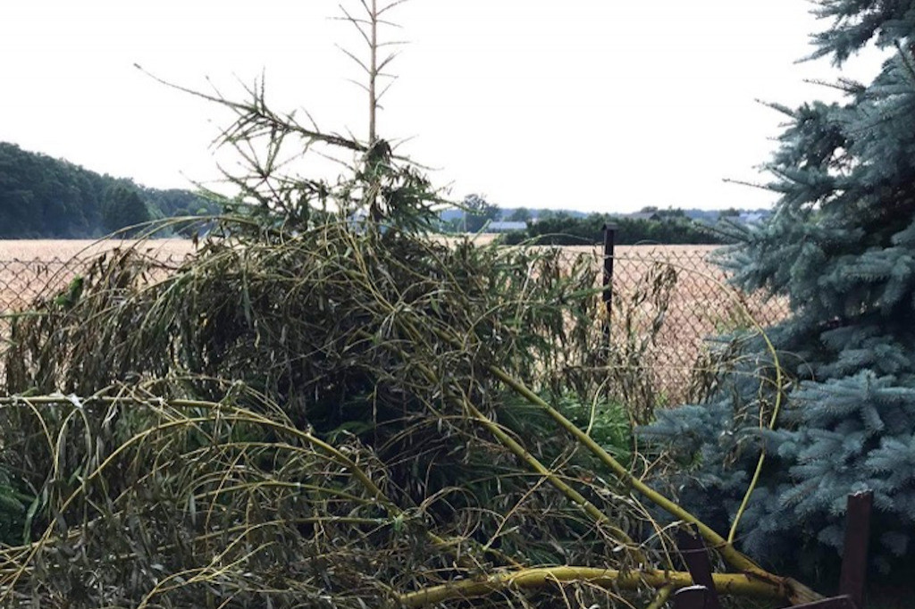 Lipcowa burza nad powiatem