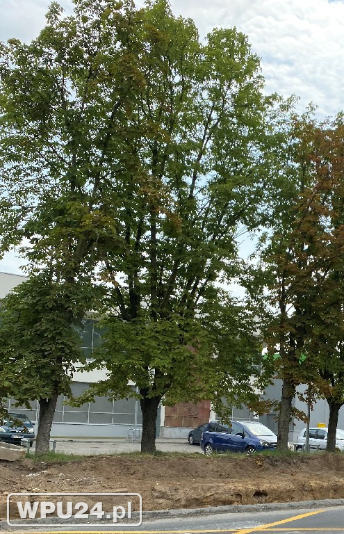 Nikły postęp prac na przebudowie ronda