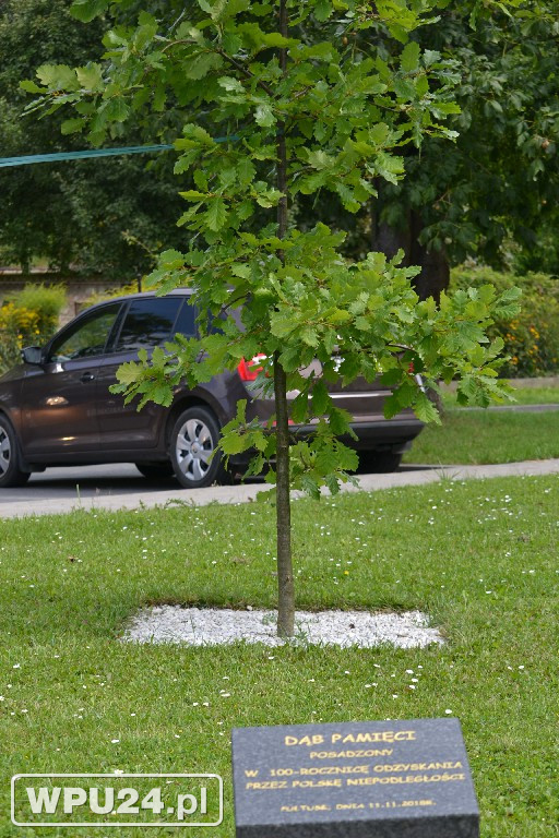 Rocznica Cudu nad Wisłą