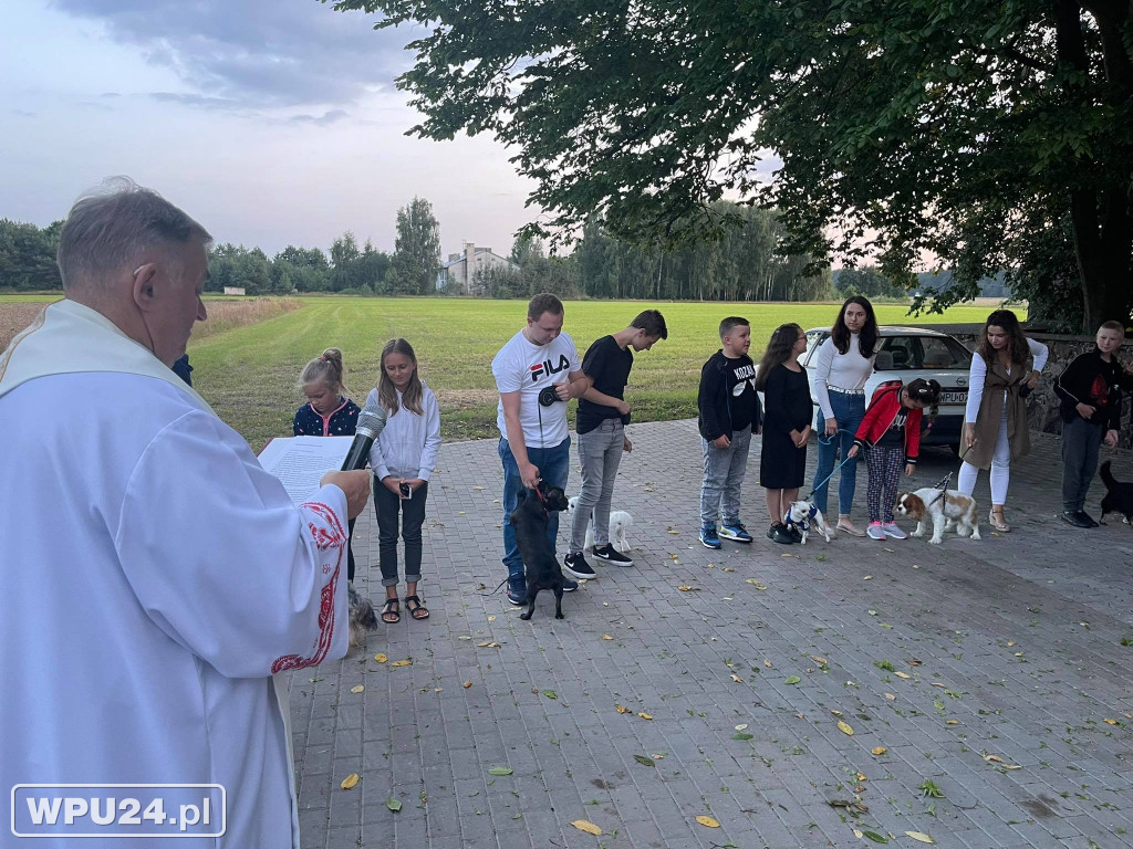 U św. Rocha tak się dzieje raz do roku!