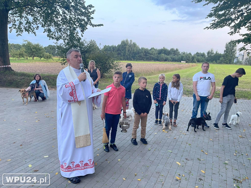 U św. Rocha tak się dzieje raz do roku!