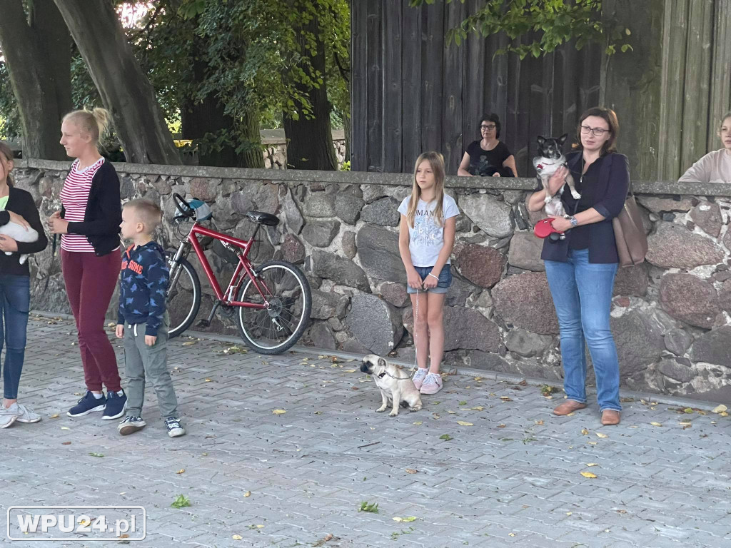 U św. Rocha tak się dzieje raz do roku!