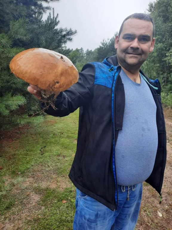 Grzyby w pułtuskich lasach już są!