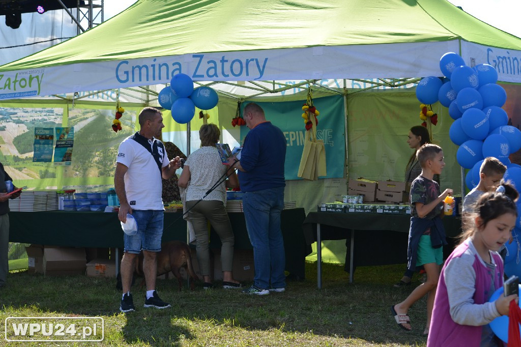 Piknik #szczepimysie w Zatorach