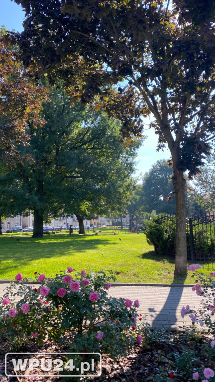 Park Piłsudskiego w obecnej formie