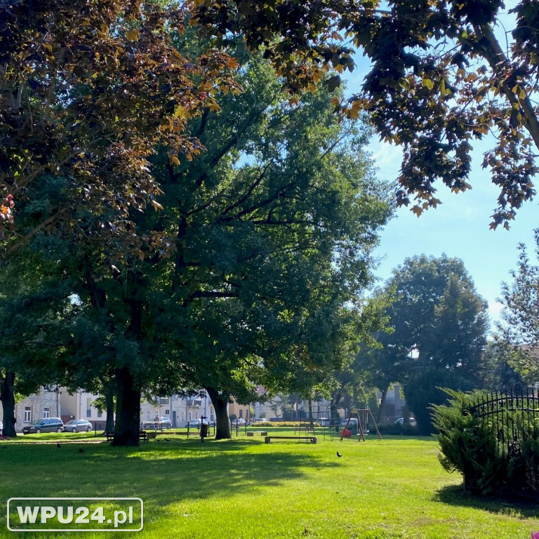 Park Piłsudskiego w obecnej formie