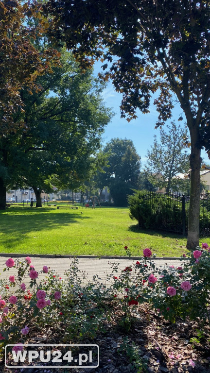 Park Piłsudskiego w obecnej formie
