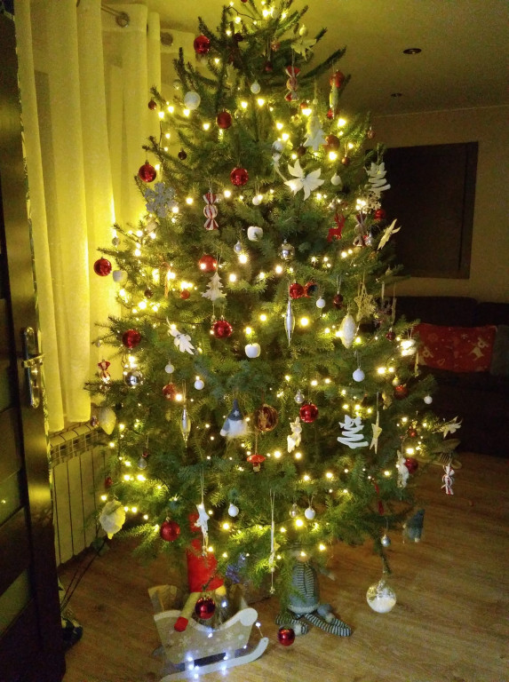 Nasze świąteczne choinki Bożonarodzeniowe