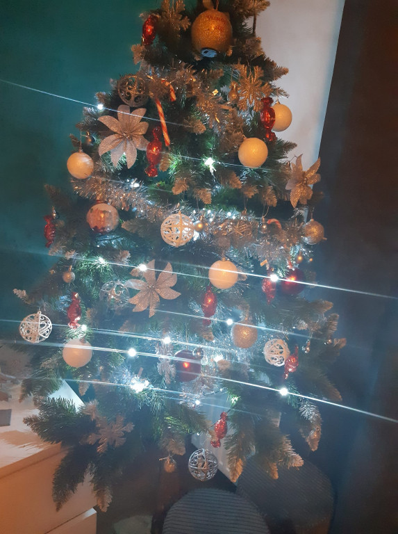 Nasze świąteczne choinki Bożonarodzeniowe