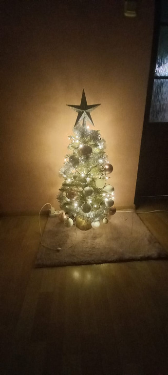 Nasze świąteczne choinki Bożonarodzeniowe
