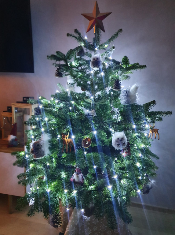 Nasze świąteczne choinki Bożonarodzeniowe