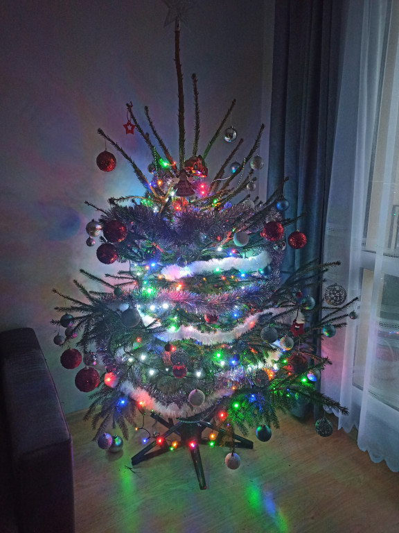 Nasze świąteczne choinki Bożonarodzeniowe