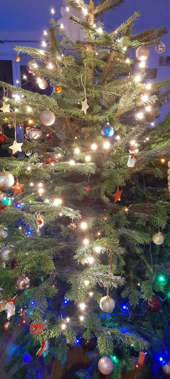 Nasze świąteczne choinki Bożonarodzeniowe