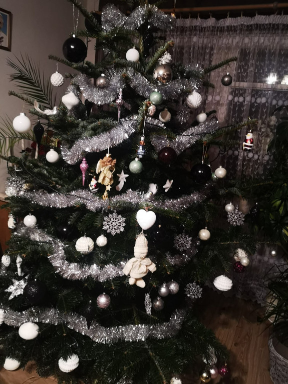 Nasze świąteczne choinki Bożonarodzeniowe