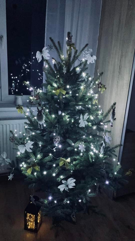 Nasze świąteczne choinki Bożonarodzeniowe