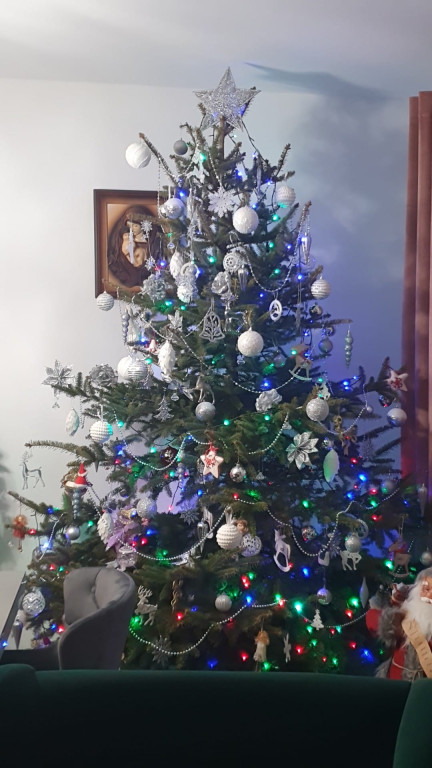 Nasze świąteczne choinki Bożonarodzeniowe