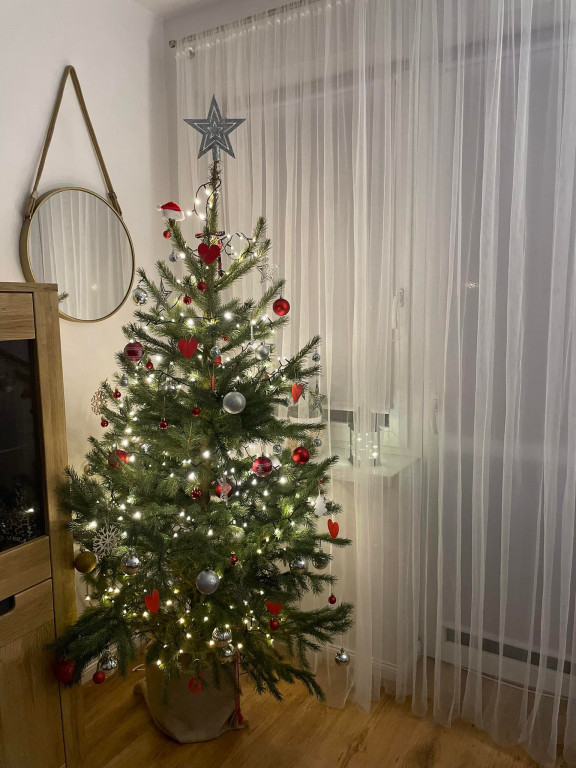 Nasze świąteczne choinki Bożonarodzeniowe