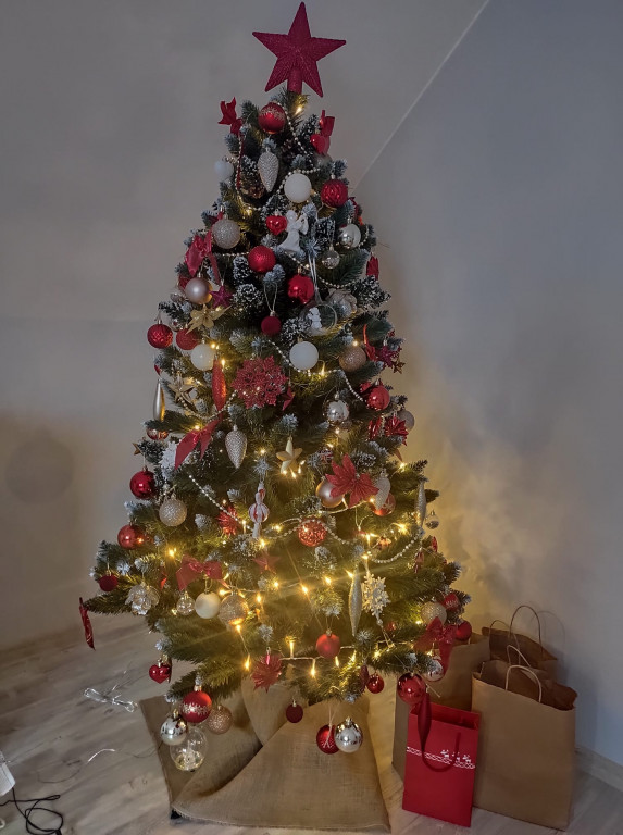 Nasze świąteczne choinki Bożonarodzeniowe