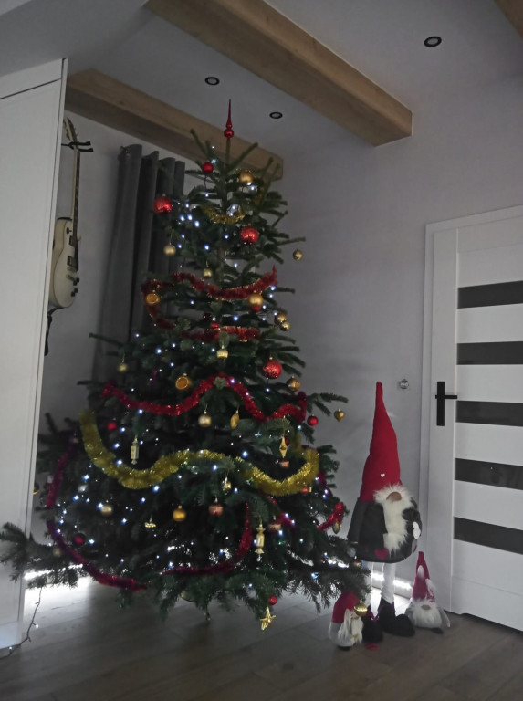 Nasze świąteczne choinki Bożonarodzeniowe