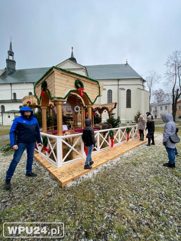 Żywa Szopka przed Bazyliką w dzień Epifanii