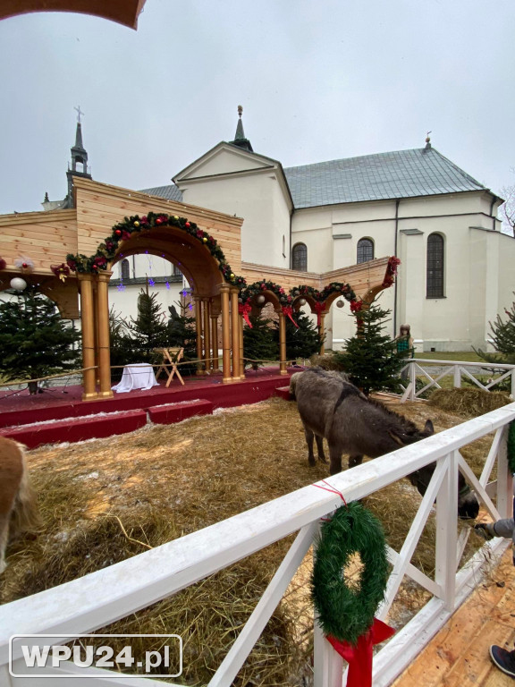 Żywa Szopka przed Bazyliką w dzień Epifanii
