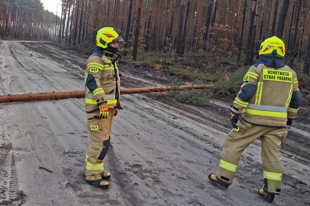 Styczniowe skutki wiatru nad powiatem