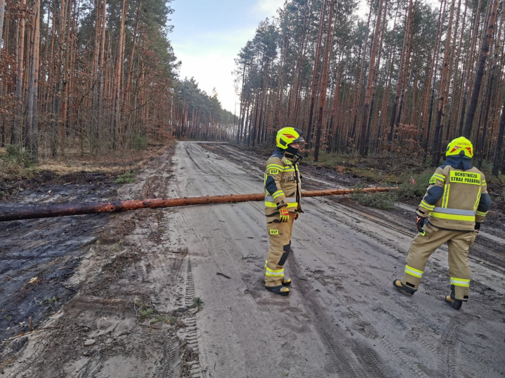 Styczniowe skutki wiatru nad powiatem