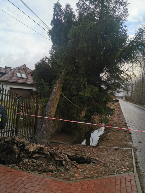 Styczniowe skutki wiatru nad powiatem