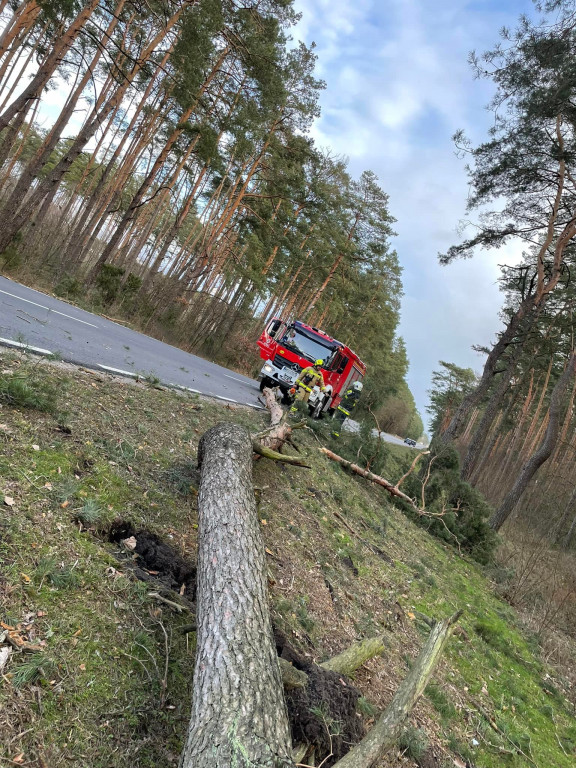 Działania pułtuskich strażaków