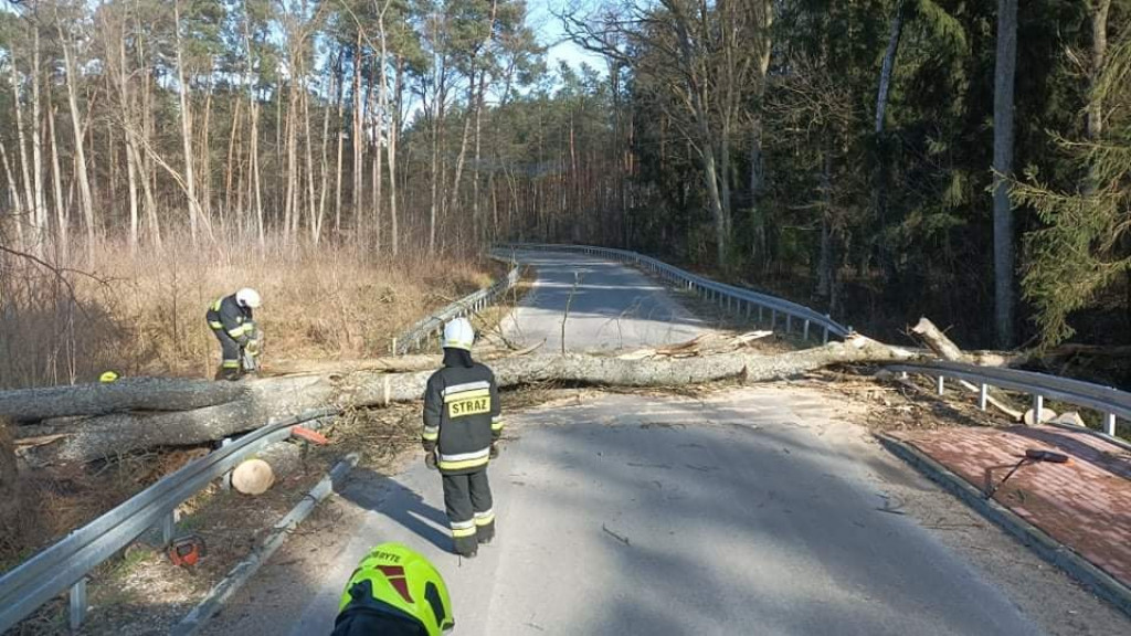 Działania pułtuskich strażaków