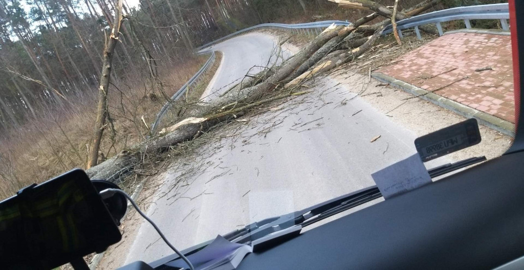 Działania pułtuskich strażaków