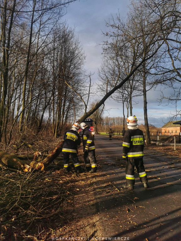 Działania pułtuskich strażaków