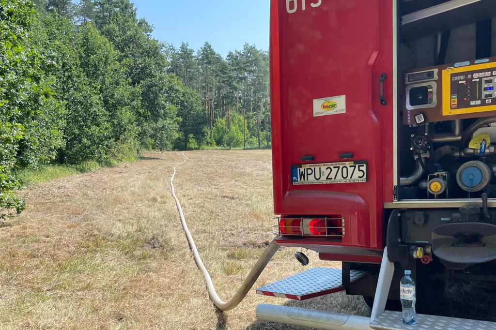 7 wozów strażackich w lesie pod Psarami