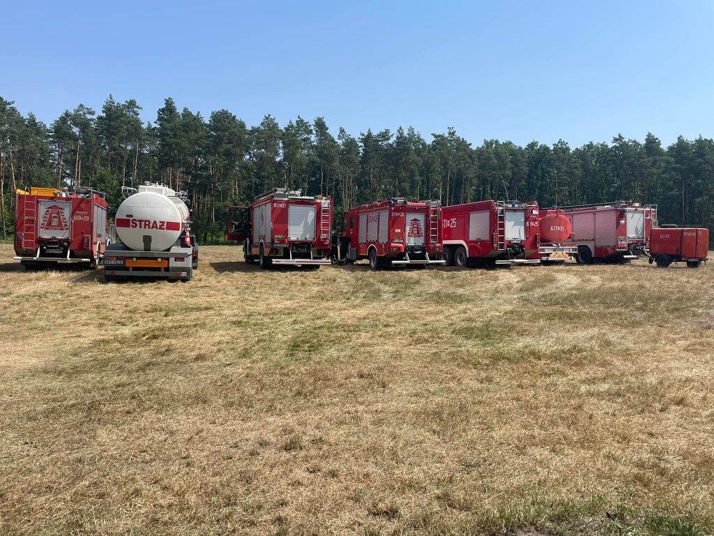7 wozów strażackich w lesie pod Psarami