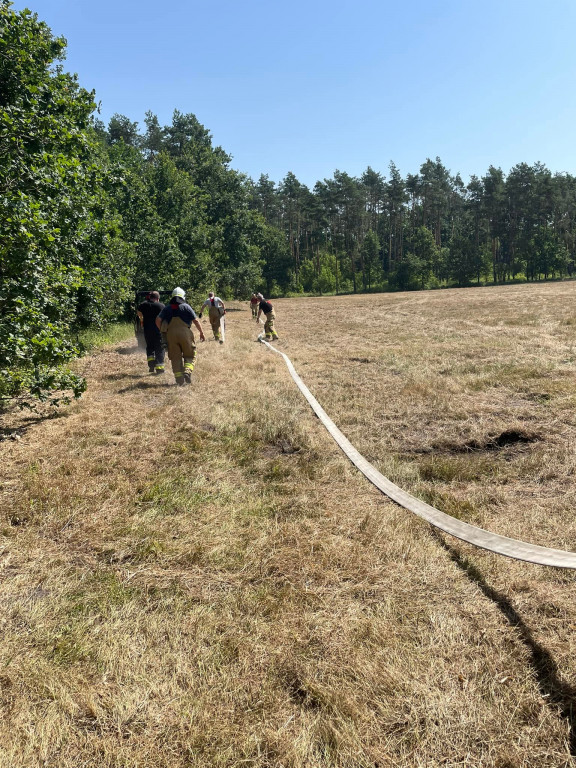 7 wozów strażackich w lesie pod Psarami